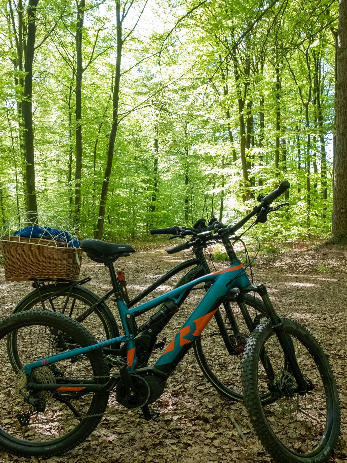 Radfahrer unterwegs in der Landschaft